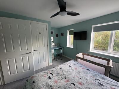 Picture 7